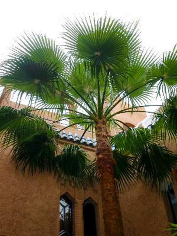 Riad Zahir Marrakesh Bagian luar foto